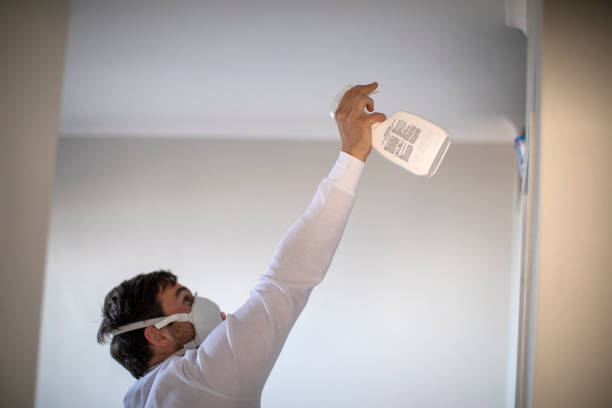 Best Attic Mold Removal  in Manitou Beach Devils Lake, MI